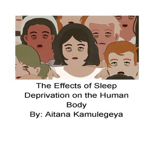 cover image of The Effect of Sleep Deprivation on the Human Body